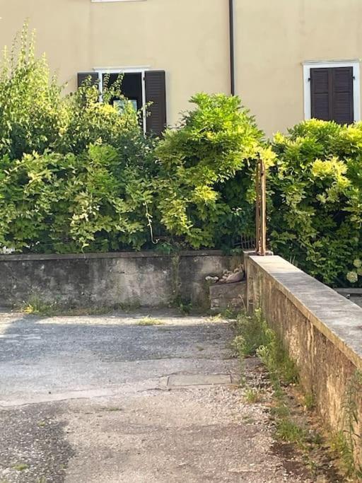 Appartamento The Lime Tree Cozy Flat Riva del Garda Esterno foto